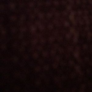 Meet your Posher, Roy